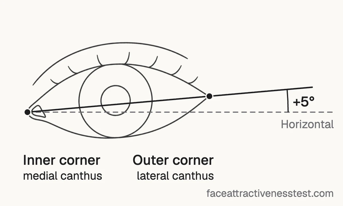 Diagram of how canthal tilt is measured: a line from the inner to the outer eye corner, and its angle above a horizontal line through the inner corner.